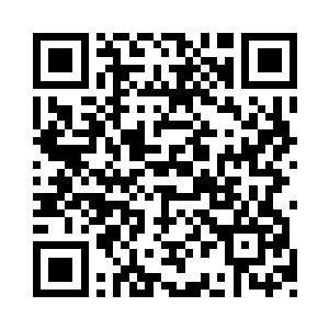 不过旁边的夫人倒是没有太多要打扰的意思二维码生成