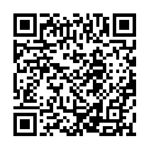 不过是一卷价值十几万中品灵石的玄阶中级功法二维码生成