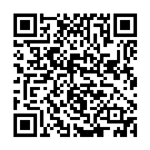 不过是为了让盐山族和原际部落的奴隶兵更好地卖命二维码生成