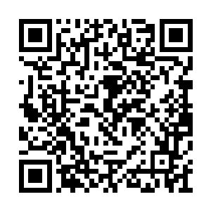 不过是从地球人类到元始文明的真实历史的重演二维码生成