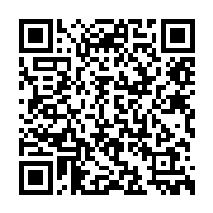 不过晚辈可以有办法延长前辈在世上停留的时间二维码生成