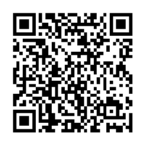 不过智慧道中的知识只是基于最原始层面的一些知识二维码生成