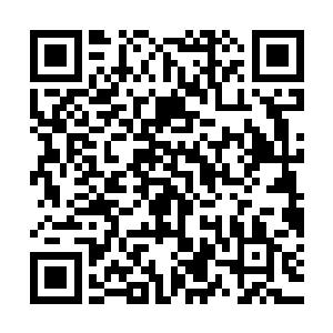 不过最主要的还是上一次杨戬获得的东西不过是在祭台的最外围二维码生成