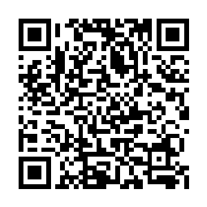 不过最前面的胖子此刻却是突然朝着秦宇怒吼道二维码生成