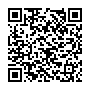 不过最后饥饿难耐的老爷子还是选择了服用辟谷丹二维码生成