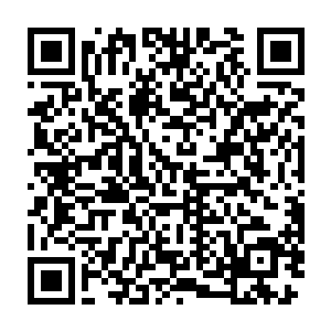 不过有一点相同的是他们的眼神中似乎都有着一种与生俱来的傲慢之色二维码生成