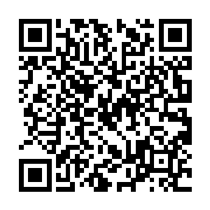 不过楚芸萱起床的第一件事却不是忙着自己去洗漱二维码生成