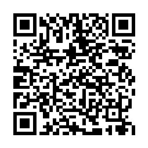 不过此时丛林之中所隐藏的那个人却是微微一笑二维码生成