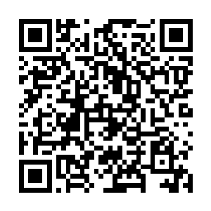不过此时别说空间内的桃花对于空间的震荡没有了反应二维码生成
