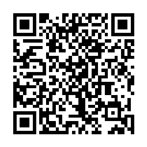 不过水晶龙们明显对周围色彩斑斓混乱的环境非常的不适二维码生成