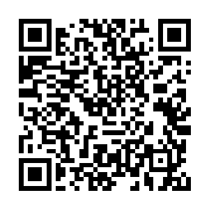 不过流墨墨却是看向那雷系仙人忽然激动了起来二维码生成