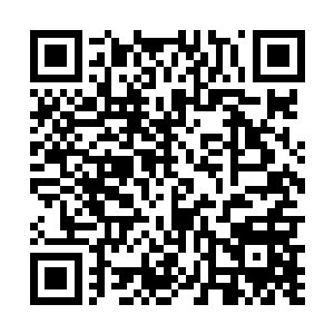 不过点完之后他就怀疑自己点的这些菜是不是在喂兔子二维码生成