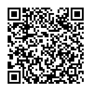 不过现在……这一次游历在那星空秘境之中可得到了不少的好东西二维码生成
