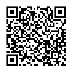 不过现在四人都心知剑尘手中的紫青剑气不能硬碰二维码生成