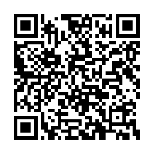 不过现在杨戬给赵清雅的不过是其中的入门篇的二维码生成