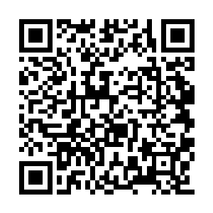 不过由于高峰的女警是一直压着陈易清的薇恩打二维码生成