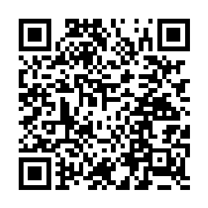 不过由此可见眼前的白发老者还是有着一定的身手二维码生成