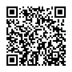 不过白奇雪好像还是有点不习惯应该怎么称呼雅文二维码生成