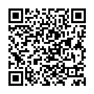 不过白芷璃此时此刻想的可不是这个大祭司多么的味道二维码生成