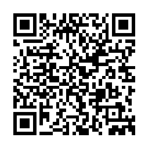 不过相应的也就是她的基本工资被削减成了一半二维码生成