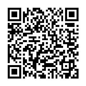 不过相比之下鬼王手下的某个家伙来说运气倒是好的多二维码生成