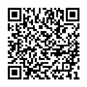 不过相比起这个云思凡整个人看上去无精打采的二维码生成