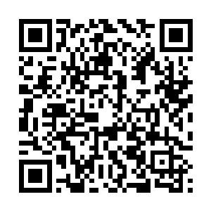 不过看在他也这么喜欢我们coco的份上我还是路过一下就走吧二维码生成