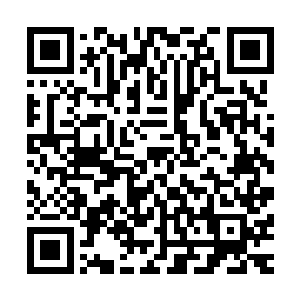 不过看起来慕容婷也并没有她自己以为的那么讨厌这个未婚夫二维码生成