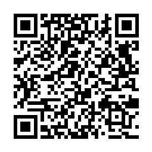 不过眼看好几十个化神境修士就这么给我一照照没了二维码生成