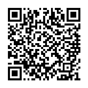 不过瞧着皇后娘娘与皇贵妃娘娘脸上都有些愁色二维码生成