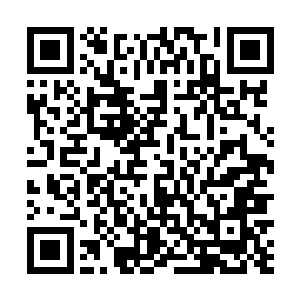 不过离以前可以打爆沙袋的状态还是需要时间去恢复的二维码生成
