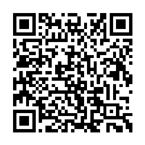 不过秦宇的第一时间却是将目光看向老人的四周二维码生成