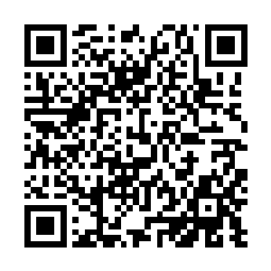 不过秦薇薇发出的玉牒中已经命各洞人马紧急赶往东来洞二维码生成