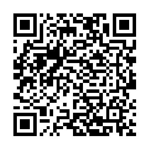 不过等一大一小两条身影顺着辽阔的滩涂地步行走到水边的时候二维码生成