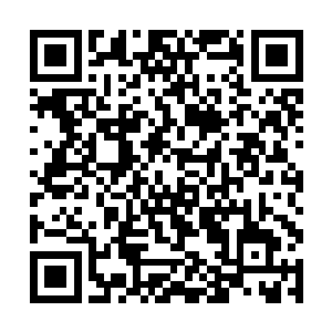 不过等她意会过来夏云杰是真的指着出去逛街而言时二维码生成