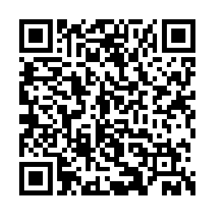 不过等金在珉进去之后发现里面就一个工作人员二维码生成