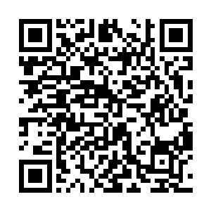 不过素来都是横行霸道的徐二管家自恃有着王府撑腰二维码生成