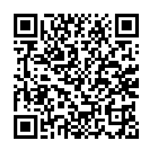 不过紧接着主要奖项之一的最佳男配角即将揭晓二维码生成