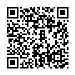 不过紧跟着他似乎突然意识到夏云杰说的是什么二维码生成