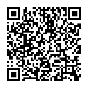 不过终究是第一次下水和这么大的家伙一起游卡森还是抱着小心的二维码生成