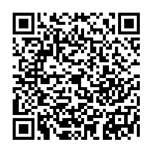 不过经历过国际小姐选美比赛这种大赛事的杨肖玫此时显然有点紧张拘束二维码生成