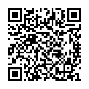 不过罗家却是万万不会将人嫁给一个小小侍卫的二维码生成