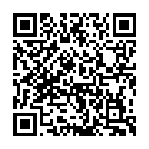 不过老妈这一次好像压根儿就没听见我说话似的二维码生成