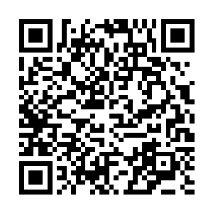 不过老白也不可能让一个修为低弱的小子两手空空出来打拼二维码生成