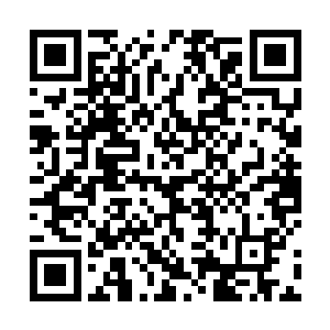 不过老者一说话顿时直接将自己的形象破坏的一塌糊涂二维码生成