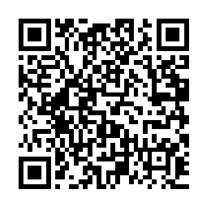 不过能够站在这里的都是各个学院精挑细选出来的精英中的精英二维码生成