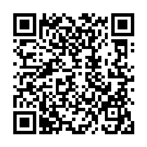 不过自己另外一个儿子苏晨很是被丁羽这个外甥所看重二维码生成