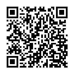 不过若是让万千大世界的顶尖高手见到这一幕的话二维码生成