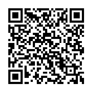 不过血河自然不会傻傻的与对方的召唤凶植对拼二维码生成