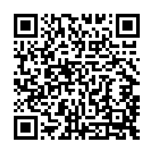 不过被葬花宫宫主严肃对待的战场又怎么可能是普通的战场二维码生成